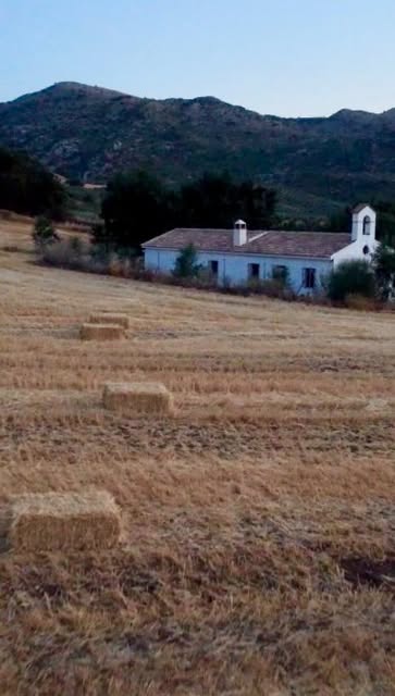 Capilla del cortijo en mitad del campo